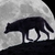 Moonlight_shadow__avatar__tiny_square