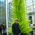Chris_Miller