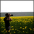197168_4486644486_513869486_47615_4333_n_tiny_square