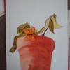 2011-06-23_12