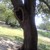 0819111250-00_tiny_square