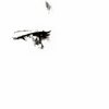 Oko_thumb