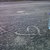 Blackberry_137_tiny_square