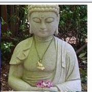 Budddhavjj_card