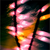 Splinter-180x180_thumb