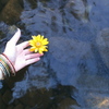 Img_0447_thumb