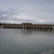 Dsc03546_tiny_square