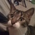 013_tiny_square