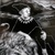Lion___daniel_tiny_square