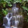 _____rainforestwaterfall_33571v2_thumb