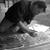 Me_painting1_tiny_square