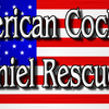 Cocker_spaniel_rescue_banner_-_copy_thumb