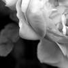 Profil-bild_thumb