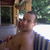 Hni_0037_tiny_square