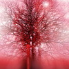 Large_arteries_and_trees_thumb