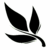 Black_tea_leaf_tiny_square