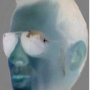 Stefa_card
