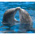 ArtWhale