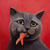 Picture_001_tiny_square