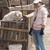 Resize_of_kambing_tiny_square