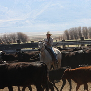 Img_7286_card