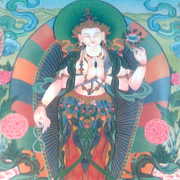 Image024_card