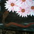 3-d_lotuses_2_tiny_square