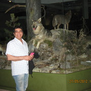 Img_2043_card