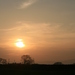 Img_2545_square