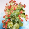 Flowers_still_life_thumb