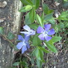 0325121533_thumb