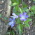 0325121533_tiny_square