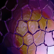 Brainphotobackground_card