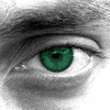Passeart_new_01_thumb