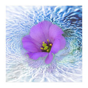 Adrift_card