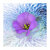Adrift_tiny_square
