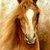 Desiree_giclee_eaa11_mitchelson_tiny_square