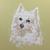 Elsa_cheerleader_tiny_square