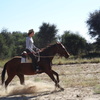 Dsc02237_thumb