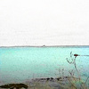 Newlyn_sea_veiw_fresco_thumb