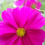 100_0951_card