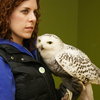 Owl14_thumb