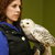 Owl14_tiny_square