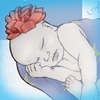 Thumbnail2_thumb