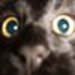 N706432864_147772_8293_square
