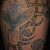 Tato_thumb