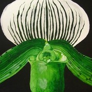 Slipper_orchid3a_card