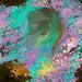 Mytex25385_square