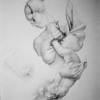 Untitled__1_of_1_-4-_tampa_thumb