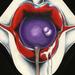 Clownlips_square
